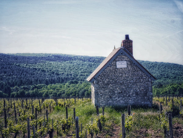 Domaine Alphonse Mellot