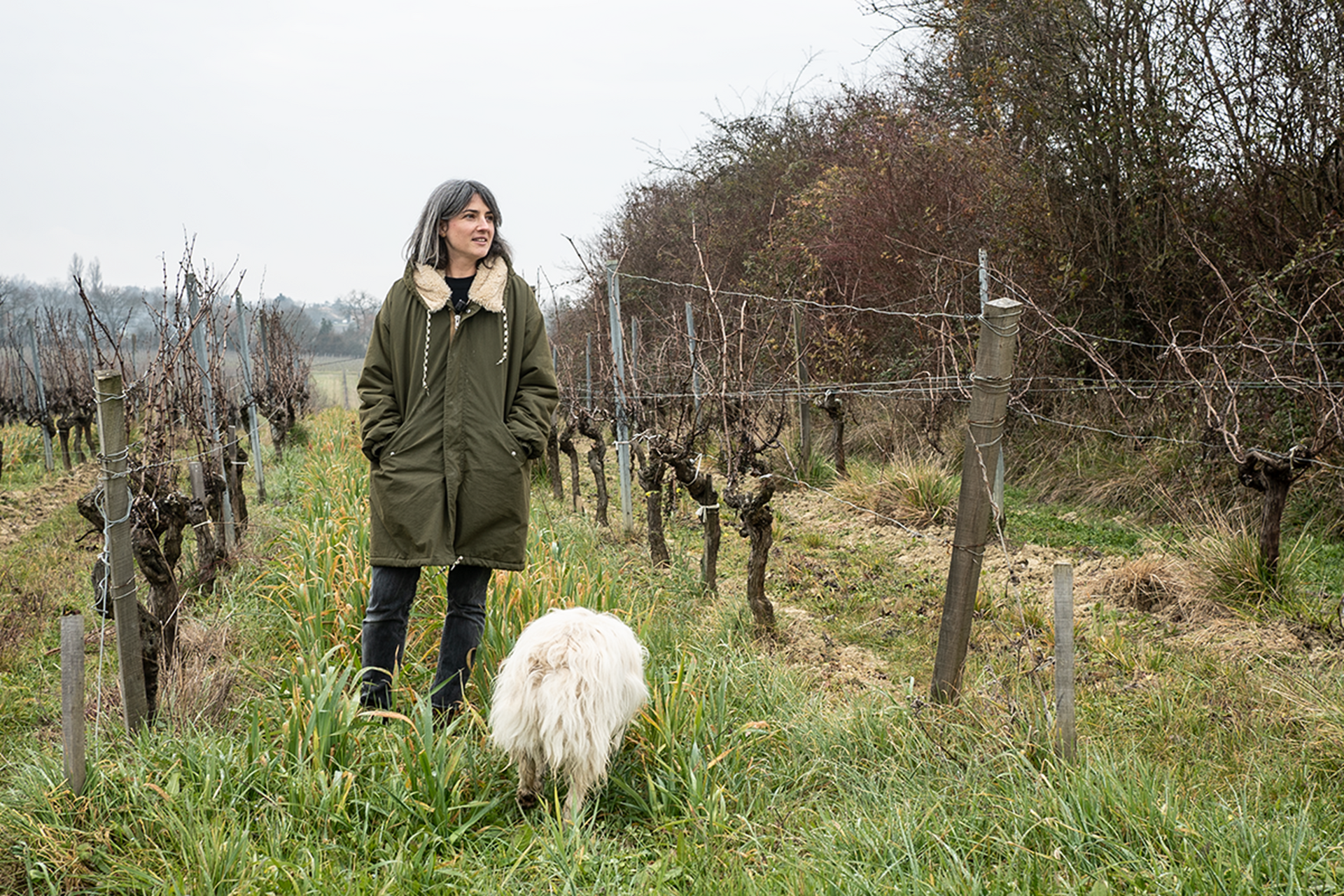 Peybonhomme-Les-Tours: Bohemian, Biodynamic Bordeaux at Great Prices