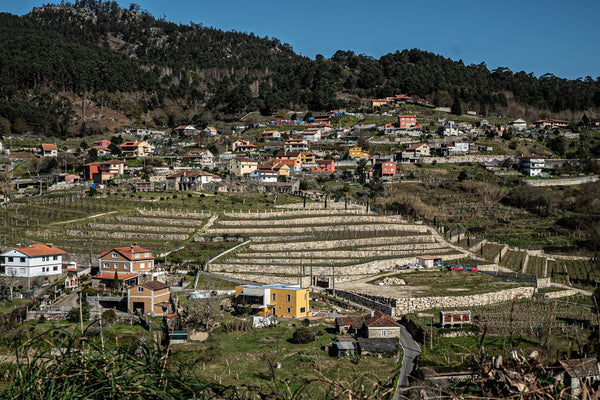 Bodegas Pentecostés