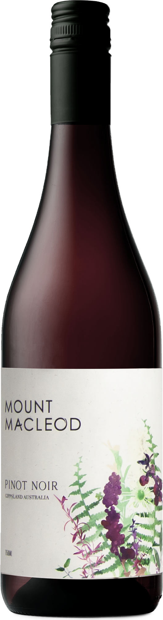 Mount Macleod Pinot Noir 2022