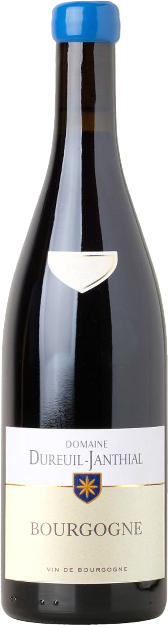 Domaine Vincent Dureuil-Janthial Bourgogne Rouge 2019